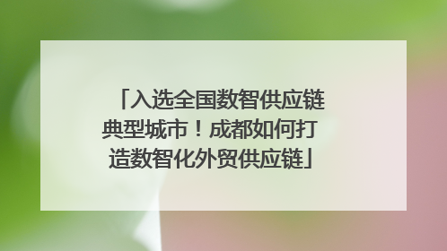 入选全国数智供应链典型城市！成都如何打造数智化外贸供应链