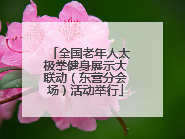 全国老年人太极拳健身展示大联动（东营分会场）活动举行