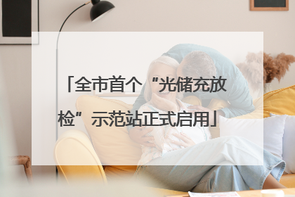 全市首个“光储充放检”示范站正式启用