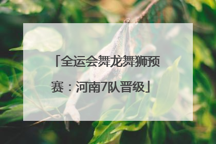全运会舞龙舞狮预赛：河南7队晋级