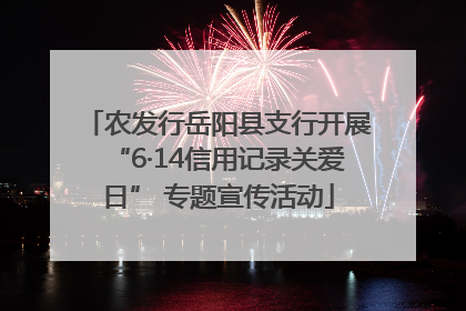 农发行岳阳县支行开展“6·14信用记录关爱日” 专题宣传活动