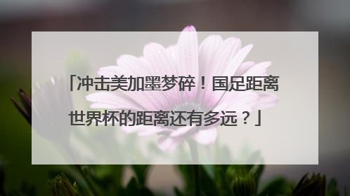 冲击美加墨梦碎！国足距离世界杯的距离还有多远？