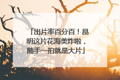 出片率百分百！昆明这片花海美炸啦，随手一拍就是大片