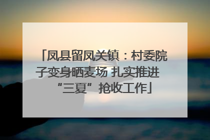 凤县留凤关镇：村委院子变身晒麦场 扎实推进“三夏”抢收工作