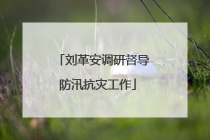 刘革安调研督导防汛抗灾工作