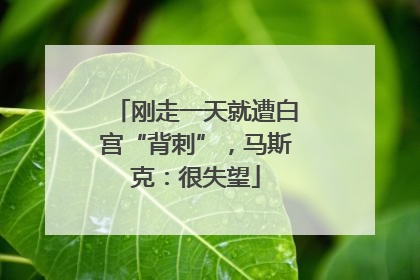 刚走一天就遭白宫“背刺”，马斯克：很失望