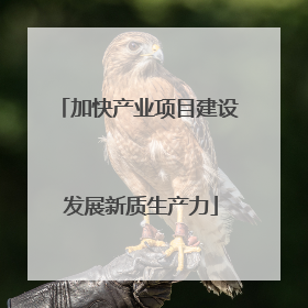 加快产业项目建设 发展新质生产力