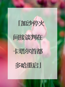 加沙停火间接谈判在卡塔尔首都多哈重启