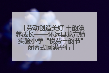劳动创造美好 丰韵滋养成长——怀远县龙亢镇实验小学“悦劳丰韵节”闭幕式圆满举行