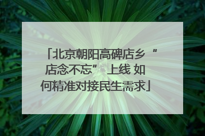 北京朝阳高碑店乡“店念不忘” 上线 如何精准对接民生需求
