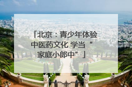 北京：青少年体验中医药文化 学当“家庭小郎中”