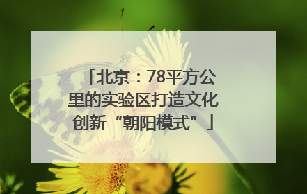 北京：78平方公里的实验区打造文化创新“朝阳模式”