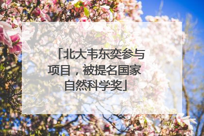 北大韦东奕参与项目，被提名国家自然科学奖