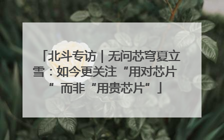 北斗专访｜无问芯穹夏立雪：如今更关注“用对芯片”而非“用贵芯片”