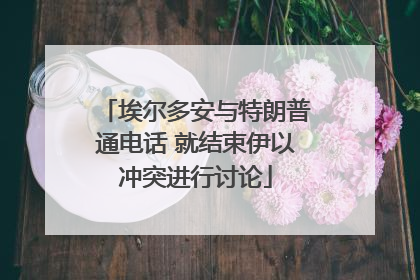 埃尔多安与特朗普通电话 就结束伊以冲突进行讨论