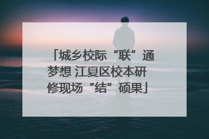 城乡校际“联”通梦想 江夏区校本研修现场“结”硕果