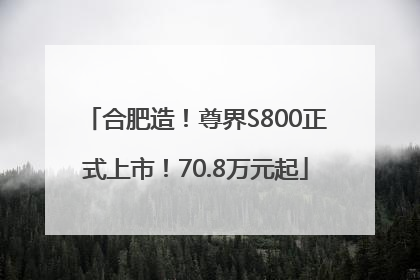 合肥造！尊界S800正式上市！70.8万元起