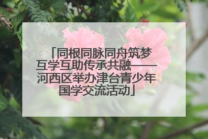 同根同脉同舟筑梦 互学互助传承共融——河西区举办津台青少年国学交流活动