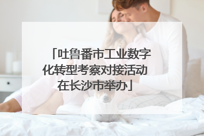 吐鲁番市工业数字化转型考察对接活动在长沙市举办