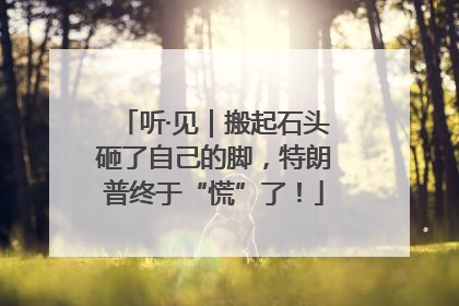 听·见｜搬起石头砸了自己的脚，特朗普终于“慌”了！