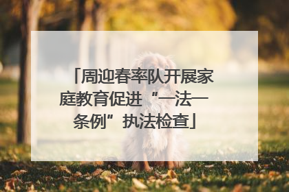 周迎春率队开展家庭教育促进“一法一条例”执法检查