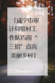 咸宁市审计局驻村工作队巧用“三招”点亮美丽乡村