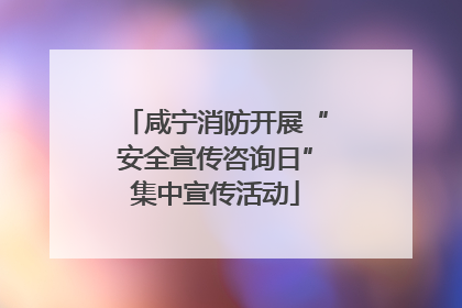 咸宁消防开展“安全宣传咨询日”集中宣传活动