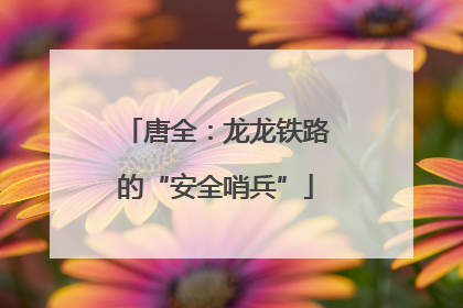 唐全：龙龙铁路的“安全哨兵”