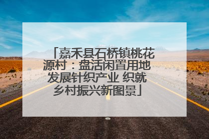 嘉禾县石桥镇桃花源村：盘活闲置用地发展针织产业 织就乡村振兴新图景