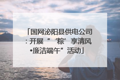 国网泌阳县供电公司：开展“‘粽’享清风 •廉洁端午”活动
