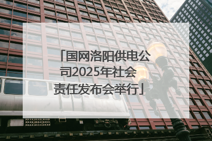 国网洛阳供电公司2025年社会责任发布会举行