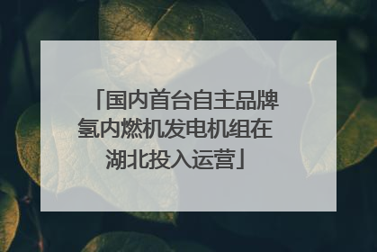 国内首台自主品牌氢内燃机发电机组在湖北投入运营