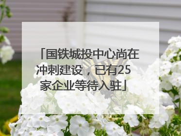 国铁城投中心尚在冲刺建设，已有25家企业等待入驻