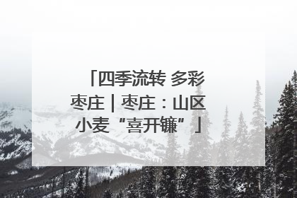 四季流转 多彩枣庄｜枣庄：山区小麦“喜开镰”