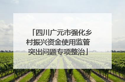 四川广元市强化乡村振兴资金使用监管突出问题专项整治