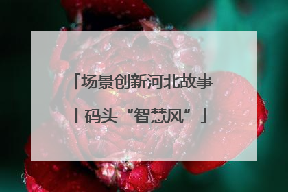 场景创新河北故事丨码头“智慧风”