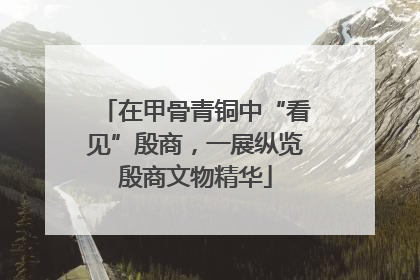 在甲骨青铜中“看见”殷商，一展纵览殷商文物精华