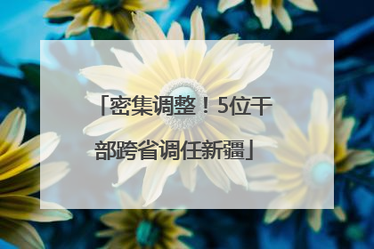 密集调整！5位干部跨省调任新疆