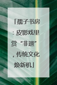 孺子书房：皮影戏里赏“非遗”，传统文化焕新机