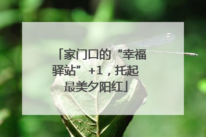 家门口的“幸福驿站”+1，托起最美夕阳红