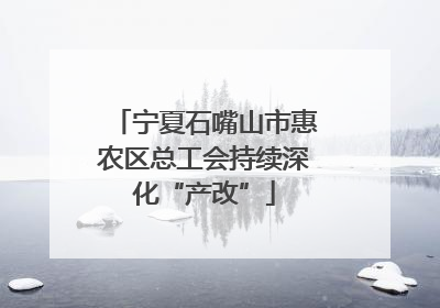 宁夏石嘴山市惠农区总工会持续深化“产改”