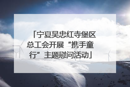 宁夏吴忠红寺堡区总工会开展“携手童行”主题慰问活动