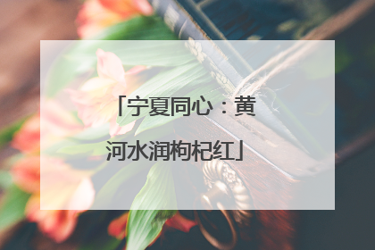 宁夏同心：黄河水润枸杞红