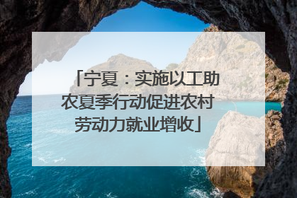 宁夏：实施以工助农夏季行动促进农村劳动力就业增收