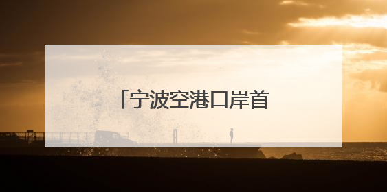 宁波空港口岸首次，四足机器人“打飞的”出海
