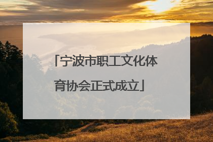 宁波市职工文化体育协会正式成立