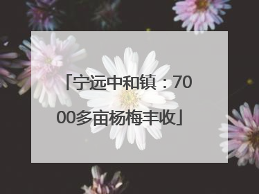 宁远中和镇：7000多亩杨梅丰收