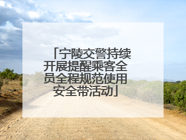 宁陵交警持续开展提醒乘客全员全程规范使用安全带活动