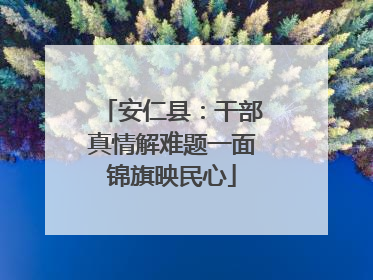 安仁县：干部真情解难题一面锦旗映民心