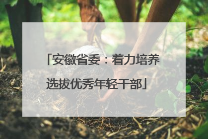 安徽省委：着力培养选拔优秀年轻干部